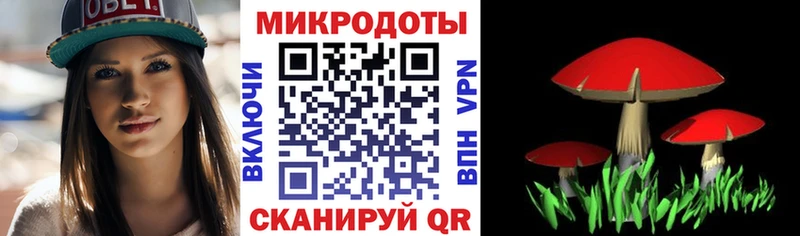 Псилоцибиновые грибы мицелий  omg зеркало  Шали  даркнет сайт 